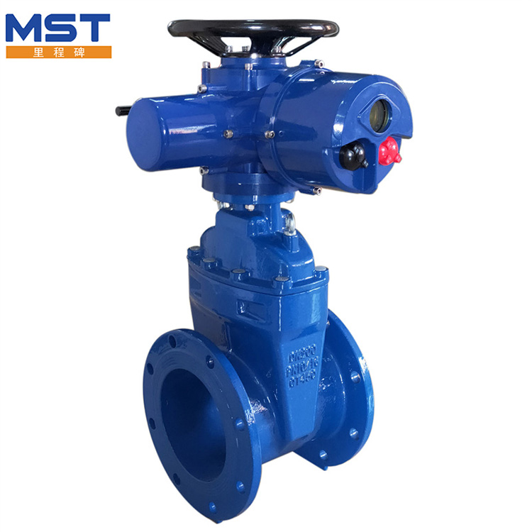 Exploring the Anatomy of Ductile Cast Iron Water Manual Gate Valves
