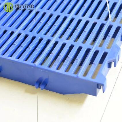 Enhancing Swine Farming: Advantages of Swine Plastic Floors Over Traditional Options