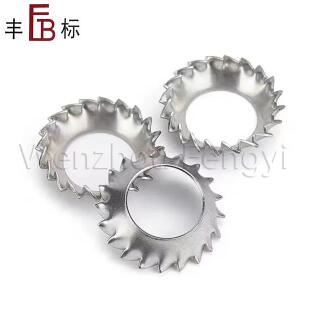 What are DIN 6798V Stainless Steel External Countersunk Lock Washers
