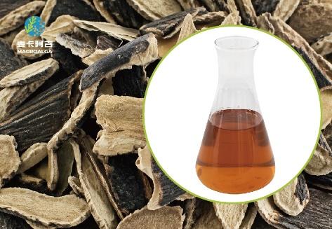 China's Original Manufacturer of Ecklonia Maxima Extract: Benefits and Applications